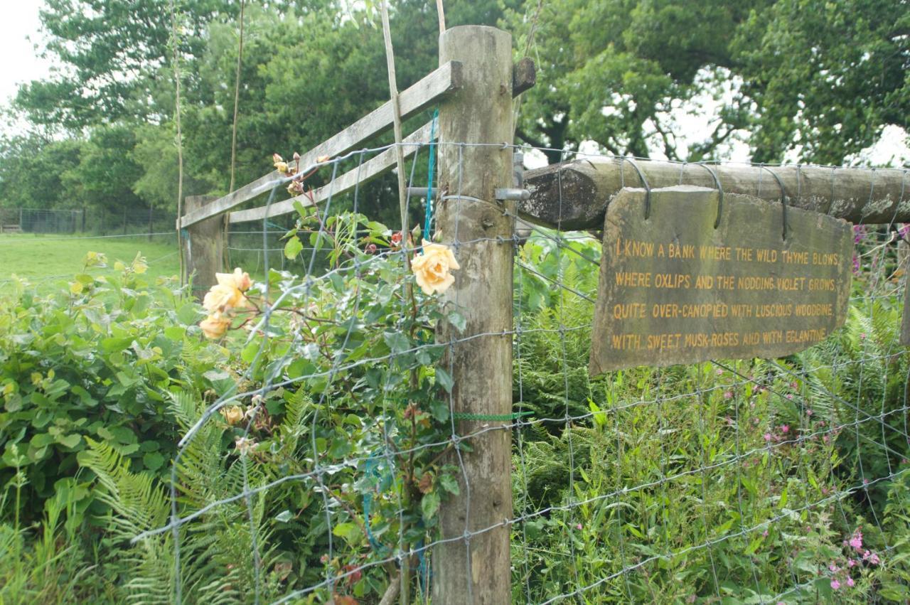 The Old Deer House Bed & Breakfast Bodmin Exterior photo